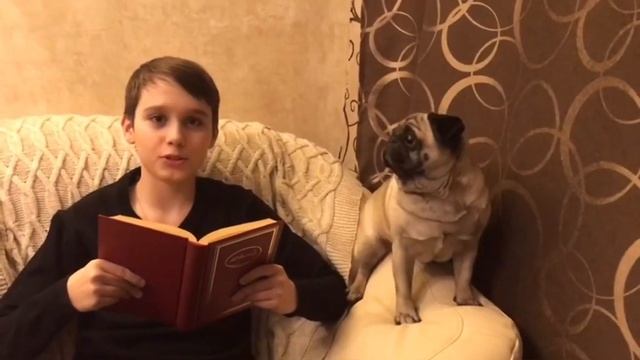 6 "А" класс. Сидим дома с пользой. смотреть онлайн