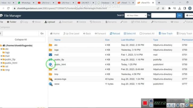 How to fix Error establishing a database connection in wordpress смотреть онлайн