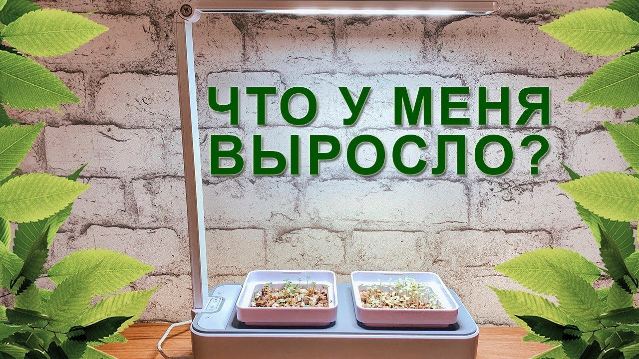 Распаковка и обзор умного сада iGarden LED смотреть онлайн