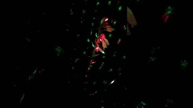 Уличная лазерная подсветка RGB смотреть онлайн