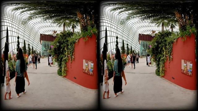 8K VR180 STUNNING WALK THROUGH SINGAPORES FLOWER DOME PT2 Gardens By The Bay 3D (Travel/ASMR/Music)