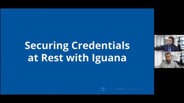 Iguana Webinar: Interface Design - Best Practices смотреть онлайн