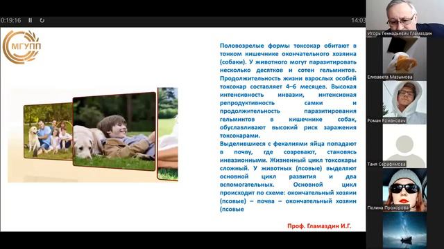 аскаридоз, токсокароз 2 смотреть онлайн