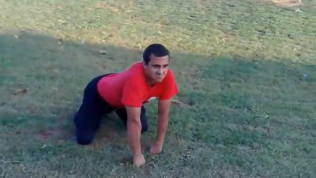 Ginastica Animal - Gorila смотреть онлайн