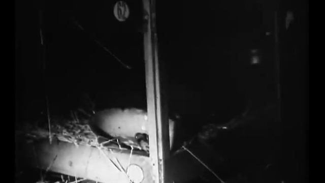 Был месяц май 1970, Режиссер Марлен Мартынович Хуциев