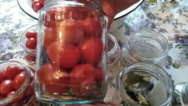 Эти маленькие помидорки будут украшением вашего праздничного стола?. Авторский рецепт маринования смотреть онлайн