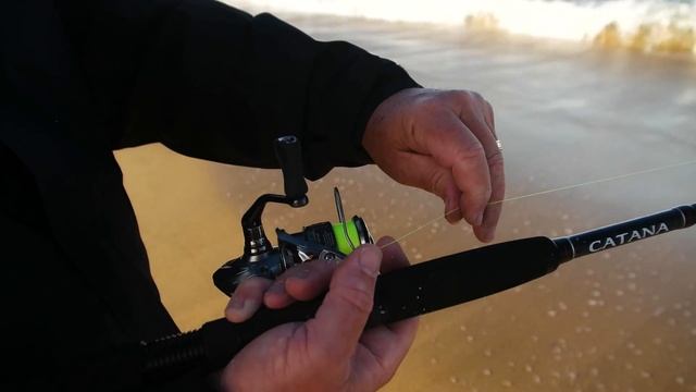 How To Catch Fish Beach Fishing - Tips and Hints! смотреть онлайн