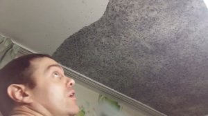 жидкие обои на потолке