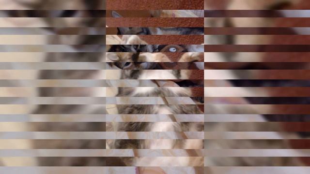 Милана сегодня ей 1,5 года 🤩😍 смотреть онлайн