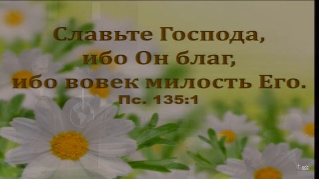 11 May 2023 Thursday смотреть онлайн