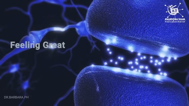 Digestion of alcohol is not like other food|Males and females differ in metabolizing #alcohol смотреть онлайн