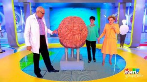 Жить здорово! Выпуск от 08.09.2017