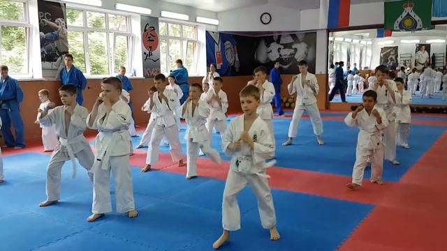 Аттестация на пояса кудо смотреть онлайн