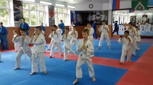 Аттестация на пояса кудо