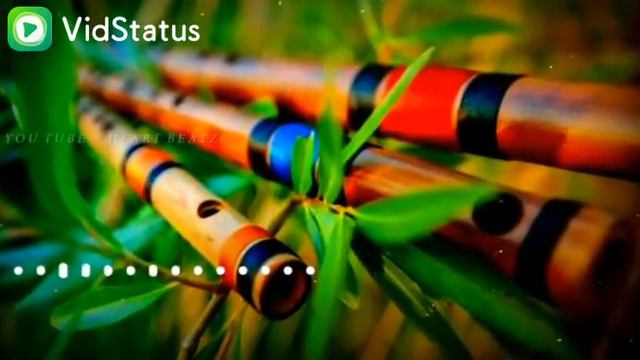 Mesmerizing flute смотреть онлайн
