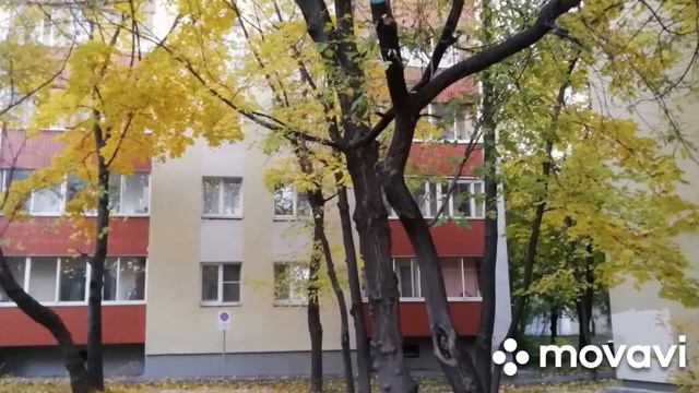 Это всё - осень... смотреть онлайн