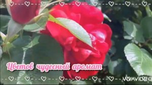 ?Всё Для Тебя?Музыкальная открытка для любимой женщины!!! С добрым утром!