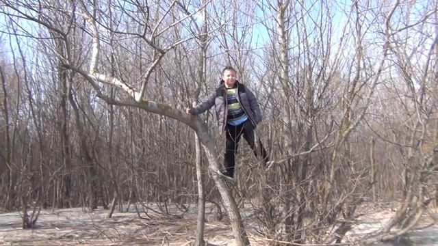 Ростов-на-Дону: Выезд на природу - Дон, Кумженская роща смотреть онлайн
