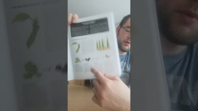 отзыв о книге 