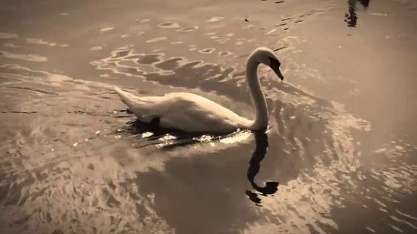 Olympus Pen Mini E-PM1 - The Power of Nature