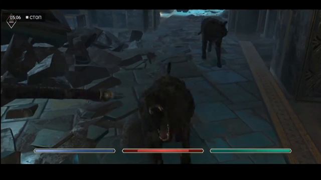 The Elder Scrolls : Blades | скайрим | маг