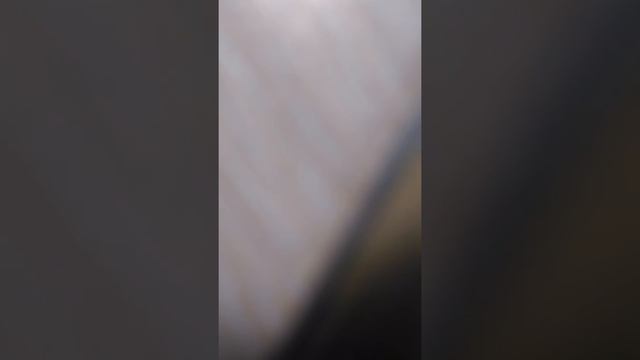 Режим инопланетянина вместе с treasure X смотреть онлайн