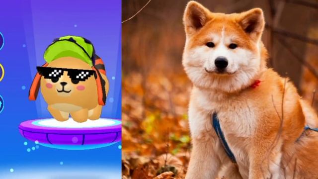 PK XD питомцы в игре и в реальной жизни! ПК ХД Любимые питомцы.Новое смотреть онлайн