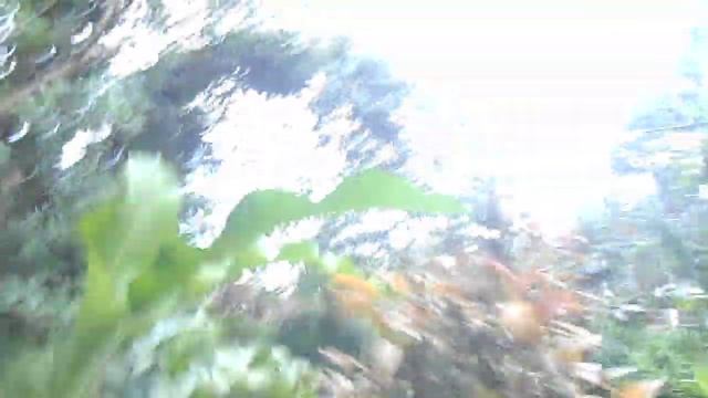 к Бали Даче смотреть онлайн