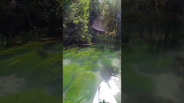 Около Ворсмы, озеро Тосканка, ключ. смотреть онлайн