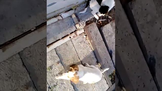 12 октября 2016 г. смотреть онлайн