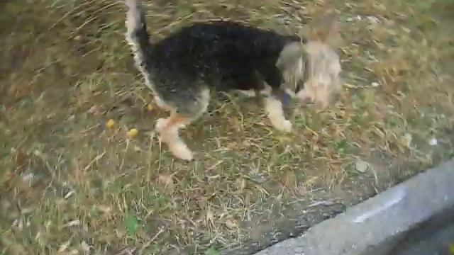 Изображение 007 смотреть онлайн