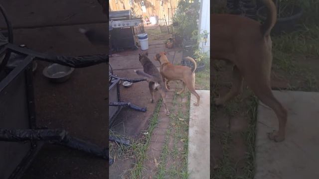What I'm Grateful For - Thursday Vibes смотреть онлайн