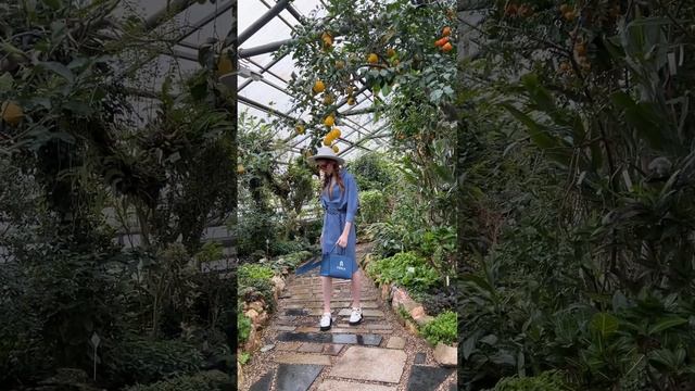 Бэкстейдж с летней съёмки в оранжерейном комплексе СО РАН Сибирского ботанического сада? смотреть онлайн