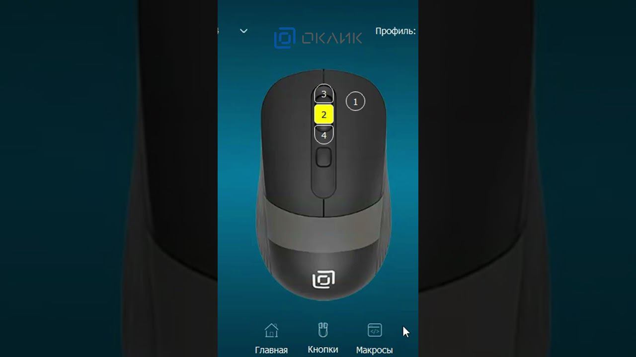 288233 Mouse Оклик 225M black blue optical 1200dpi USB 3but смотреть онлайн