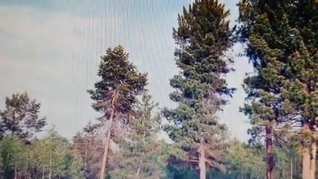 Занятие 5. Тема. Природа России. Охрана природы. 12.05.2020 год смотреть онлайн