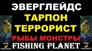 Fishing Planet - Тарпон террорист на Эверглейдсе