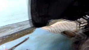 Замена задних втулок и стоек стабилизатора KIA Sportage 3 AWD