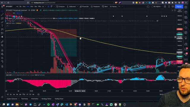 The Most Accurate Buy Sell Signal Indicator in Tradingview | 100% PROFITABLE TRADING STRATEGY TESTE смотреть онлайн