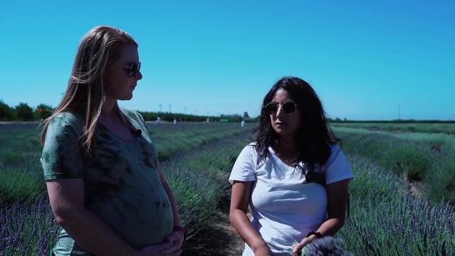 A Lavender Dream at Araceli Farms | Field Trips смотреть онлайн