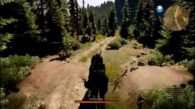 The Witcher 3, Exploring Kaer Morhen (New GPU R9 380 4GB Test) High Setting 60fps смотреть онлайн