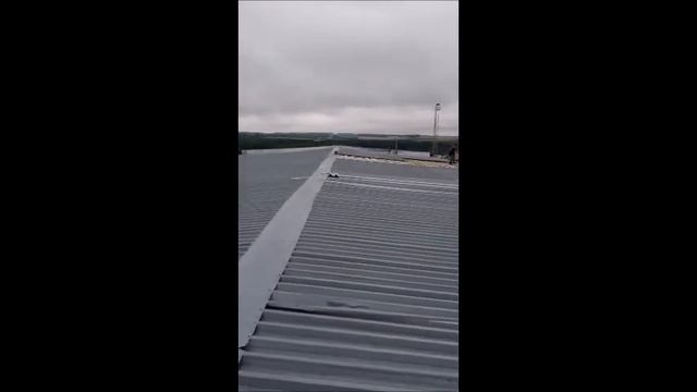 Крыша лесоцеха смотреть онлайн