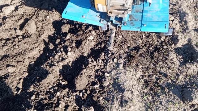 Легко и правильно культивируем мотоблоком. смотреть онлайн