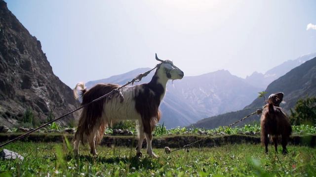 Is It Too Late To Stop The Melting Himalayan Glaciers? | The Politics Of Climate Change | Part 2/3 смотреть онлайн