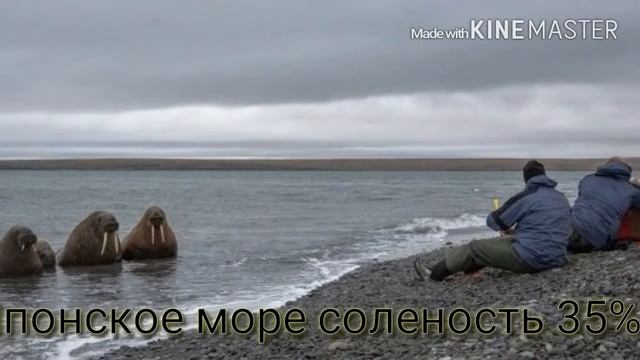 Топ-10 самых соленых морей мира смотреть онлайн