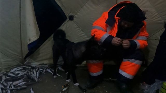 за навагой ( открытие зимнего сезона ) смотреть онлайн