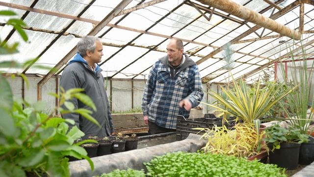 Selbstversorgung im Lockdown, Gemüse im Winter ernten, Garten planen, Lagern und Bevorraten смотреть онлайн