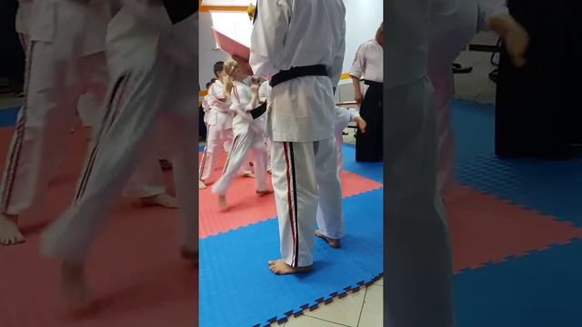 Экзамен на жёлтый пояс НОВОСИБИРСК.27.05.2018 смотреть онлайн