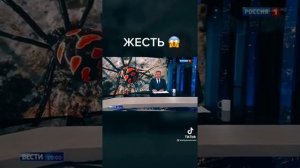 Каракурт самый опасный паук вмире