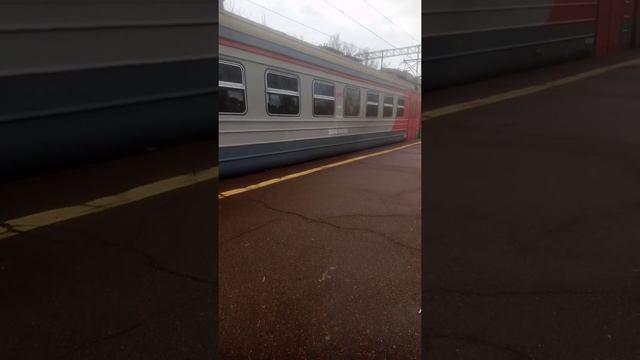 На станцию прибывает поезд ЭД4М с сообщением С.-Петербург Ораниенбаум-1 станция Дачное смотреть онлайн
