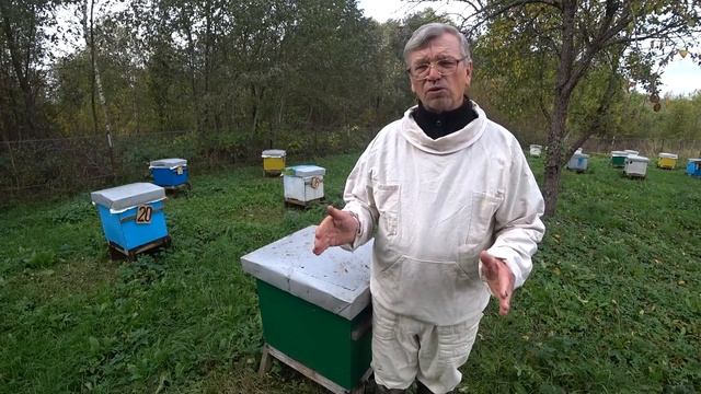 Где пчёлам зимовать - в зимовнике или на воле. Пасека Лаврова. смотреть онлайн